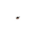 "TARGUS PRIVACY SCREEN 13.3IN"