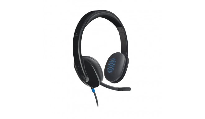 USB Headset H540 (schwarz, Retail)
