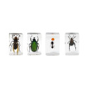 Celestron Microscope sample 3D bug Kit #5