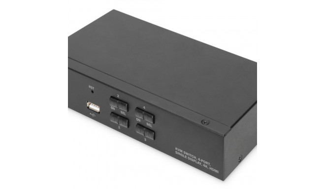 KVM switch - 4 ports DS-12880