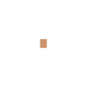 Clinique Even Better Make-Up SPF15 (30ml)