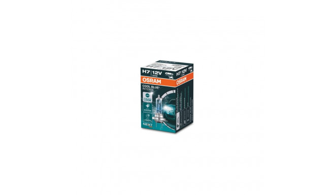 H7 12V 55W Cool Blue Intense
