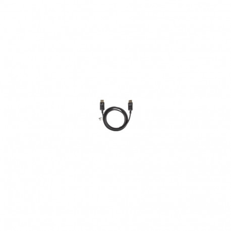 Lanberg LANBERG CA-DPDP-10CC-0018-BK Lanberg cab