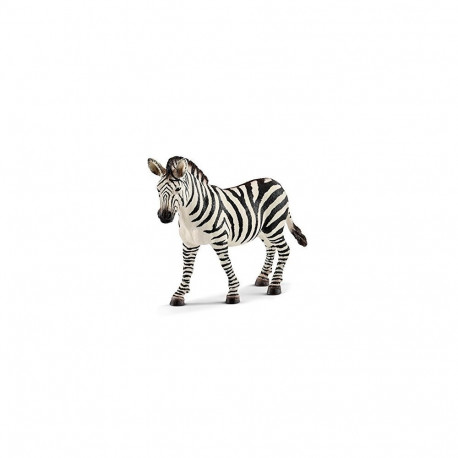 Wild Life tamma sebra