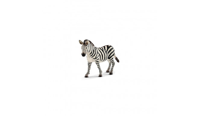 Wild Life Zebra Stute