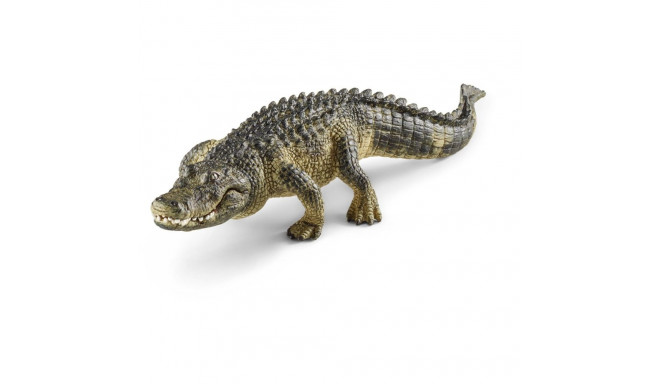 Wild Life Alligator