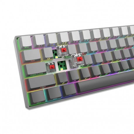 White Shark GK-007711 Nunchaku Grey / Red US