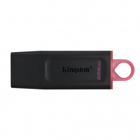 Kingston mälupulk 256GB USB 3.2 (DTX/256GB)