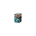 H7 12V 55W Cool Blue Intense