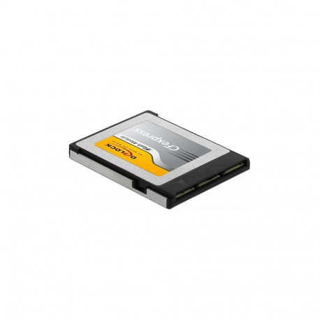 CFexpress mälukaart 256 GB
