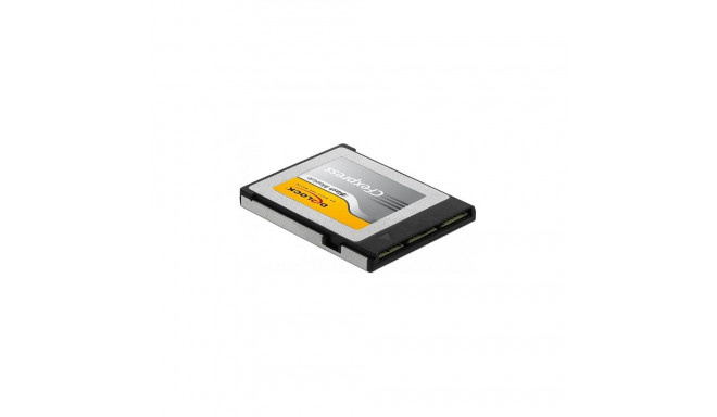 CFexpress mälukaart 256 GB