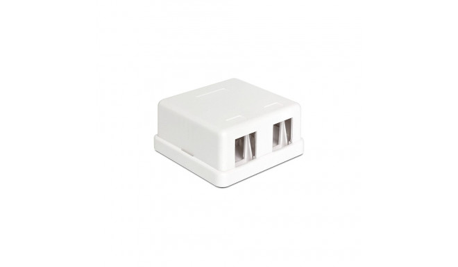 "Delock Keystone Leergehäuse 2 Port"