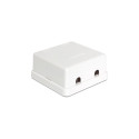 "Delock Keystone Leergehäuse 2 Port"