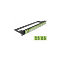 "Delock 19? LWL Patchpanel 24 Port LC Quad lindgrün"