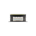 "Delock 10? Patchpanel 8 Port Cat.6A 1 HE schwarz"