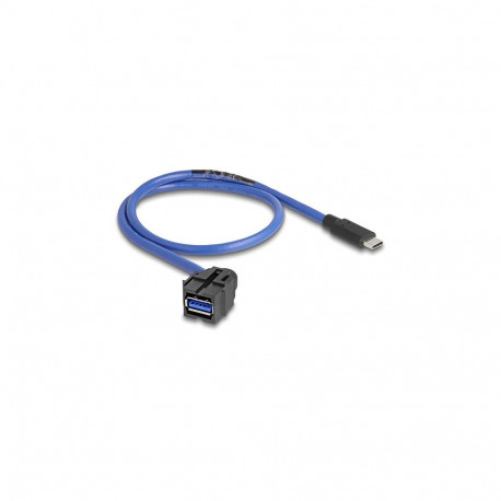 "Delock Keystone Modul USB 5 Gbps A Buchse zu USB Type-C™ Stecker mit Kabel"