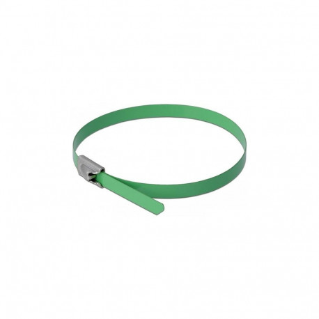 "Delock Edelstahlkabelbinder L 300 x B 4,6 mm grün 10 Stück"