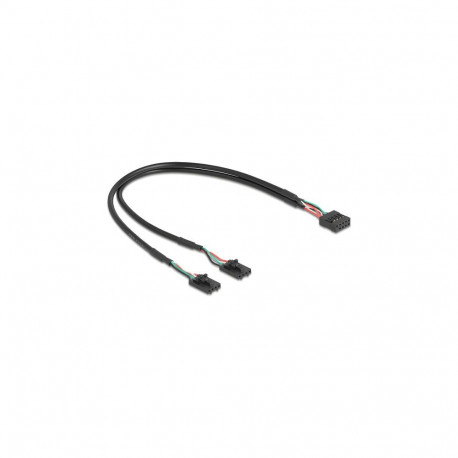 Delock kaabel USB 2.0 emane kontaktliist 2,54 mm 10 Pin - 2 x USB 2.0 emane kontaktliist 2,54 mm 4 P