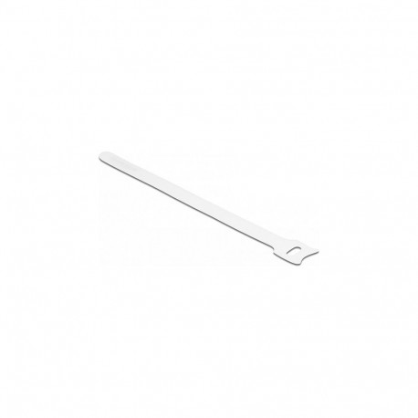 "Delock Klett-Kabelbinder L 200 x B 12 mm weiß 10 Stück"