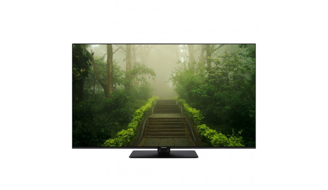 "Panasonic TB-55W60AEZ schwarz"