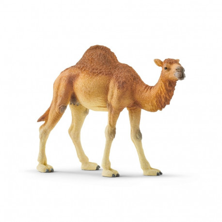 SCHLEICH WILD LIFE Dromedary