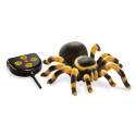 Tarentula R/C, Buki, with controller