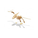 Konstruktor Puidust dinosaurused, Buki