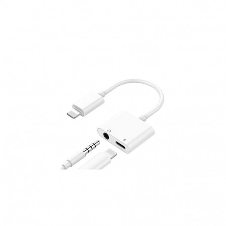 iPhone Lightning to 3.5 mm Headphone Jack Adapter (double)