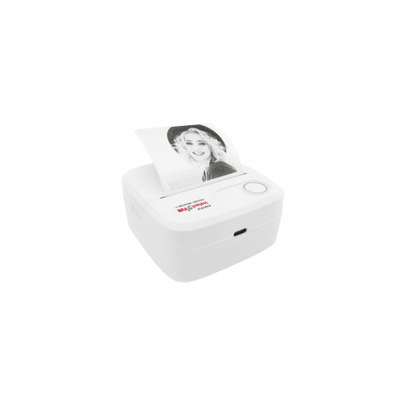 Easypix taskuprinter InstantFUN P1