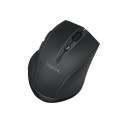 Wireless mouse BT5.0, ergonomic, black