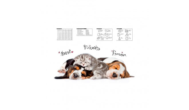 TABLE MAT 0318-0048-72 580X415MM