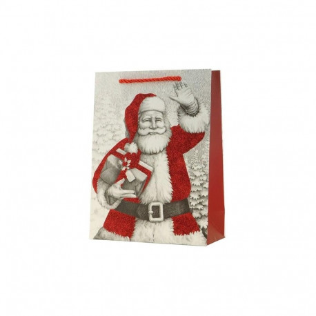 GIFT BAG CHRISTMAS TY-20S 18X24X8CM