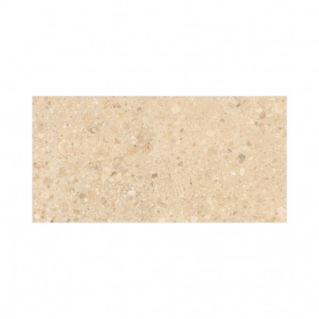Beež terrazzo kiviplaat 29.8X59.8(1.6)
