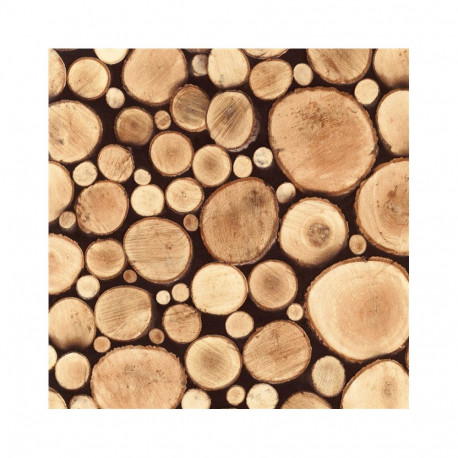 AD LOGS 45CMX15M 55784