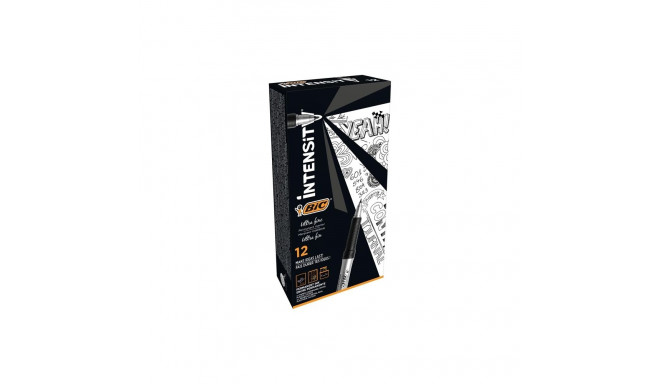 BIC CD/DVD marker BCL B12 8290801
