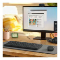"LOGITECH Wireless Keyboard K250 Graphite (DE)"
