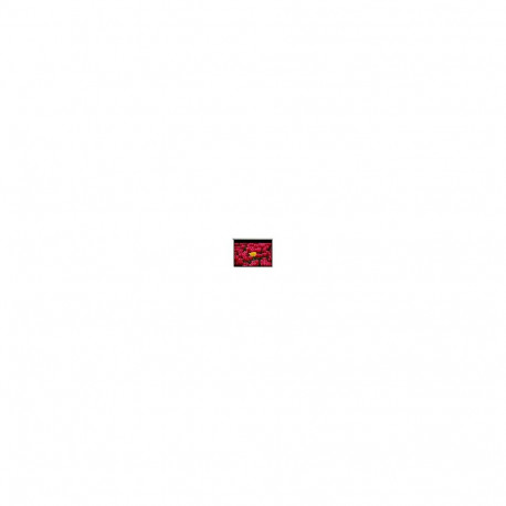 "Optoma DE-9120EGA motorisierte Leinwand für Wand-/Deckenmontage, 16:9, (120"") 305 cm"