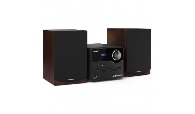 "Sharp XL-B517BR braun"