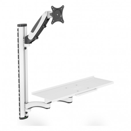 "Digitus Arbeitsplatz (Monitor, Tastatur, Maus) Wandmontage, Befestigung/Montage (wei/schwarz)"