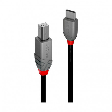 "LINDY 3m USB 2.0 Typ C an B Kabel, Anthra Line"