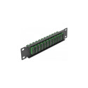 Delock 10-tolline fiiberoptiline patch-paneel 12 porti SC Duplex roheline 1U must
