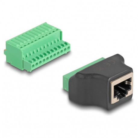 "Delock RJ50 Buchse zu Terminalblock Adapter mit Drucktaster"