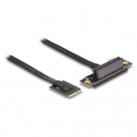 Delock M.2 Key A+E PCIe x4 NVMe nurgaga adapter 20 cm kaabliga