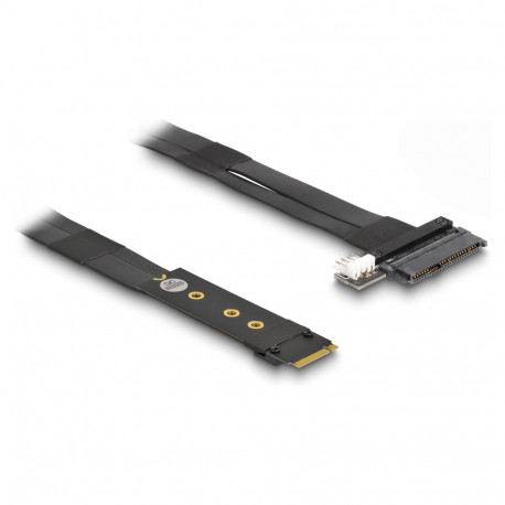 "Delock M.2 Key M zu U.2 SFF-8639 NVMe Adapter mit 20 cm Kabel"