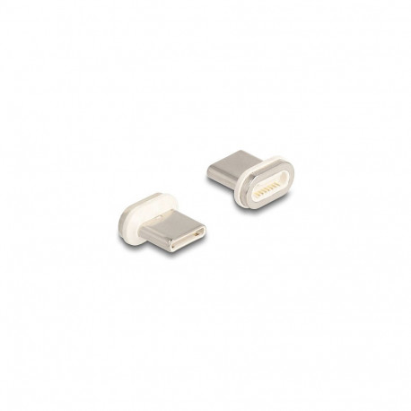 "Delock Magnetischer Adapter USB Type-C™ Stecker"