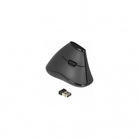 "Delock Ergonomische vertikal optische 5-Tasten Maus 2,4 GHz kabellos - Lautlos"