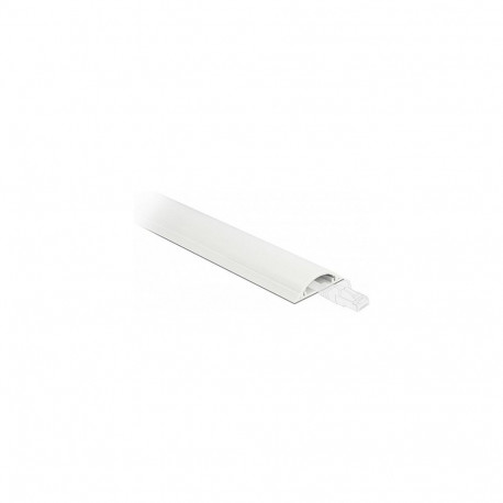 "Delock Kabelkanal selbstklebend 70 x 20 mm - Länge 1 m weiß"