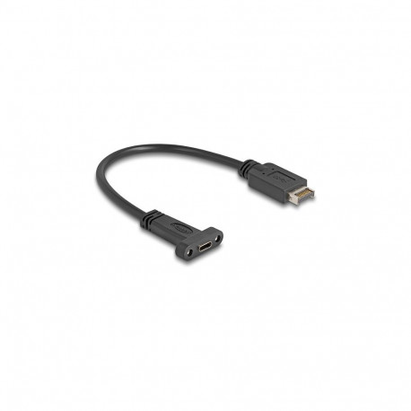 "Delock USB 10 Gbps Kabel USB Typ-E Key A 20 Pin Stecker zu USB Type-C™ Buchse zum Einbau 25 cm"