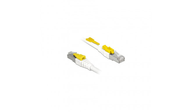 Delock RJ45 turvaline Cat.6A kaabel 1 m