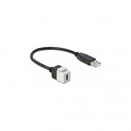 Delock Keystone-moodul USB 2.0 C-pesa > USB 2.0 A-pistik kaabliga